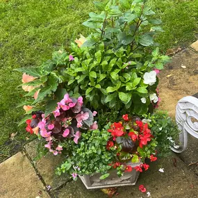 Bild von Ashcroft Gardening Services Ltd
