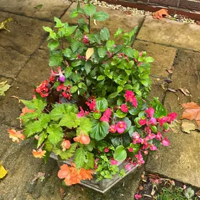 Bild von Ashcroft Gardening Services Ltd