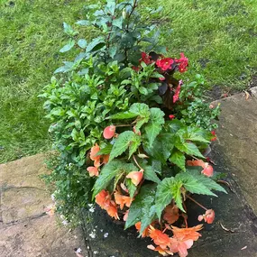 Bild von Ashcroft Gardening Services Ltd