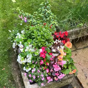 Bild von Ashcroft Gardening Services Ltd