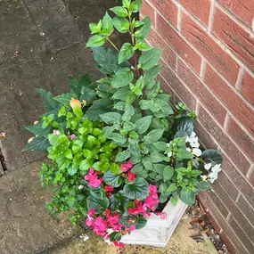 Bild von Ashcroft Gardening Services Ltd