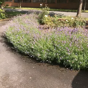 Bild von Ashcroft Gardening Services Ltd