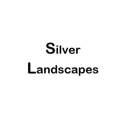 Logotipo de Silver Landscapes