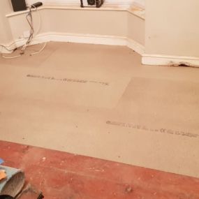 Bild von Paul Newman Damp Proofing