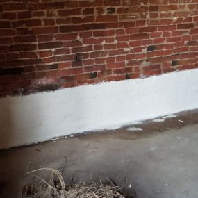 Bild von Paul Newman Damp Proofing