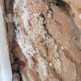 Bild von Paul Newman Damp Proofing