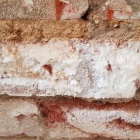 Bild von Paul Newman Damp Proofing