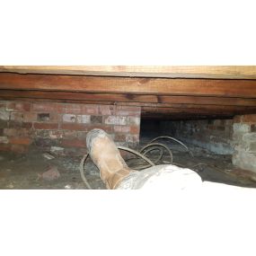 Bild von Paul Newman Damp Proofing