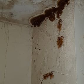 Bild von Paul Newman Damp Proofing