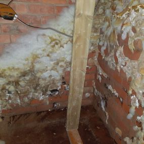 Bild von Paul Newman Damp Proofing