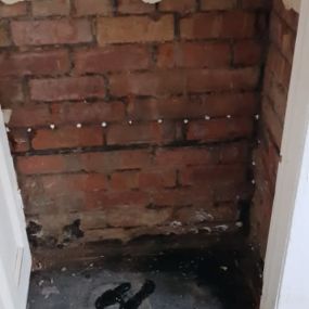 Bild von Paul Newman Damp Proofing