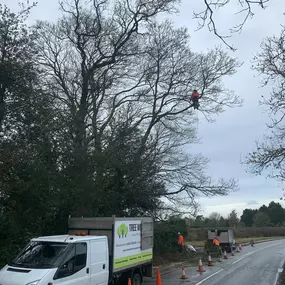 Bild von Tree Wise Men Warwickshire Ltd