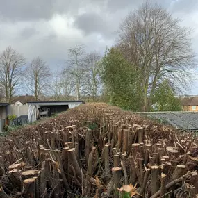 Bild von Tree Wise Men Warwickshire Ltd