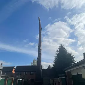 Bild von Tree Wise Men Warwickshire Ltd