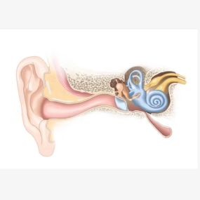 Bild von Cheshire Ear Wax Removal & Microsuction Services