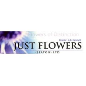Bild von Just Flowers (Seaton) Ltd