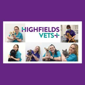 Bild von Highfields Vets