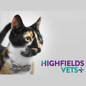 Bild von Highfields Vets