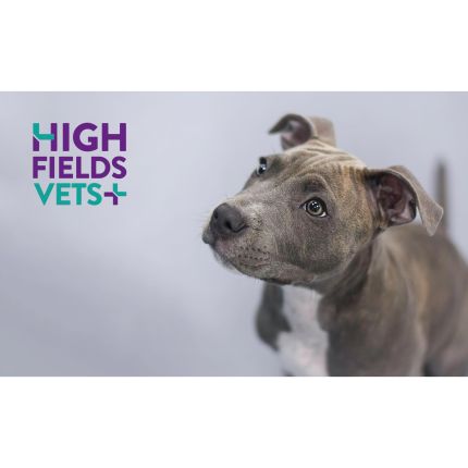 Logo da Highfields Vets