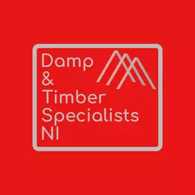 Bild von Damp & Timber Surveys