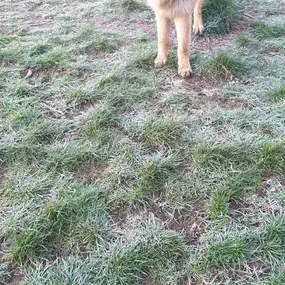 Bild von K9-5 Adventure Walks