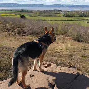 Bild von K9-5 Adventure Walks