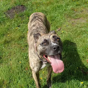 Bild von K9-5 Adventure Walks
