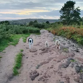 Bild von K9-5 Adventure Walks