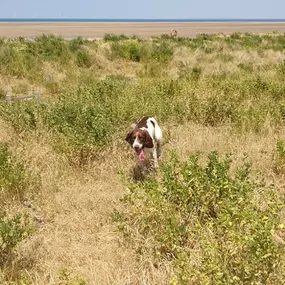 Bild von K9-5 Adventure Walks