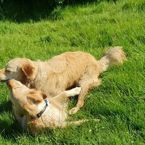 Bild von K9-5 Adventure Walks