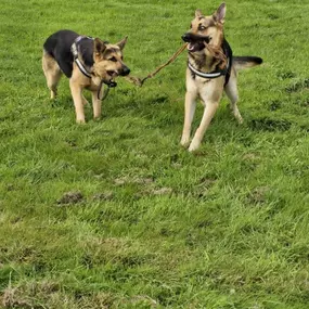 Bild von K9-5 Adventure Walks
