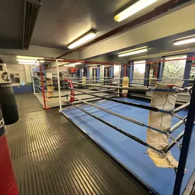 Bild von Honour & Glory Boxing Club