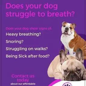 Bild von Tudor House Animal Care