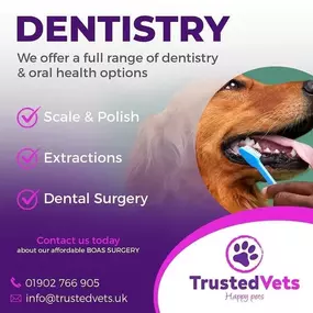 Bild von Tudor House Animal Care