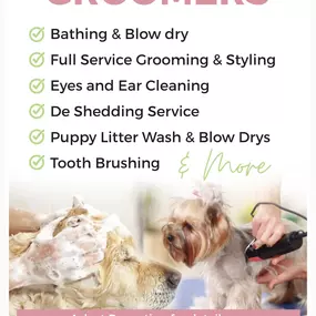Bild von Tudor House Animal Care