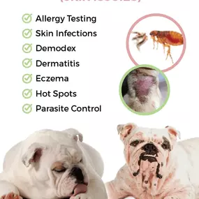 Bild von Tudor House Animal Care