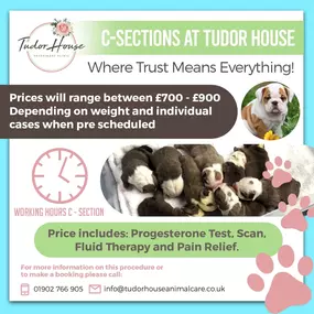 Bild von Tudor House Animal Care