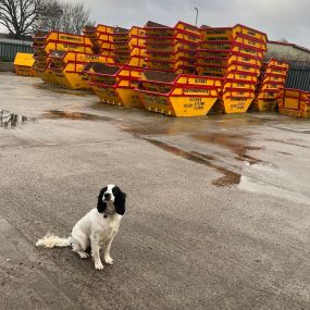 Bild von Glynn's Skip Hire Luton