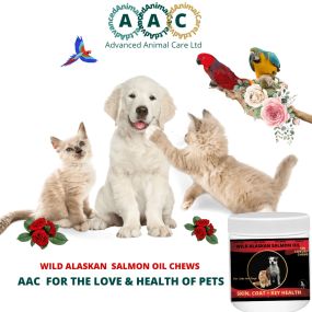 Bild von Advanced Animal Care