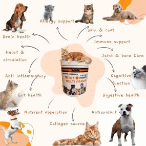 Bild von Advanced Animal Care