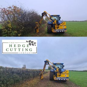 Bild von The Hedge Cutting Co