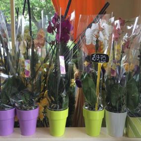 Bild von Park Gate Florists