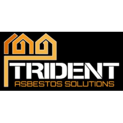 Logo from Trident Surveying