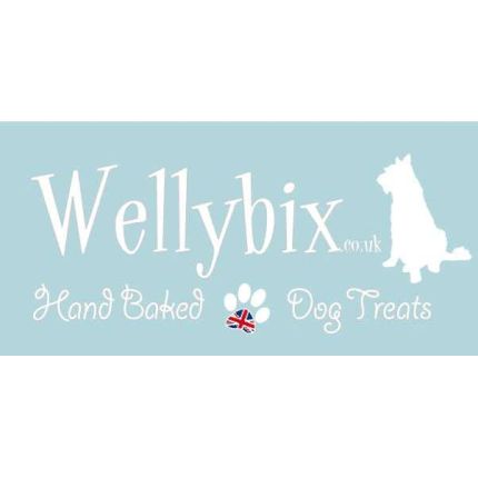 Logo from Wellybix