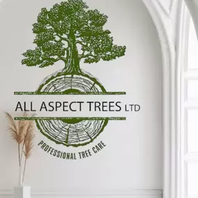 Bild von All Aspect Trees Ltd