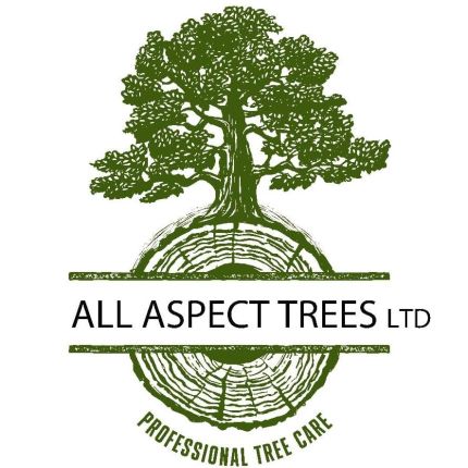 Logo from All Aspect Trees Ltd