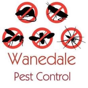 Bild von Wanedale Pest Control & Drainage Solutions