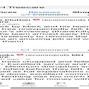 Bild von MH Treecare