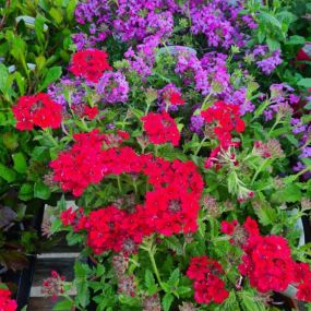 Bild von Laurel Farm Garden Centre