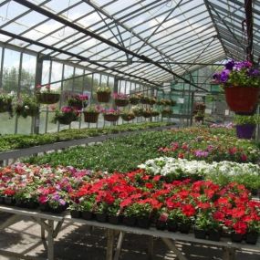 Bild von Laurel Farm Garden Centre